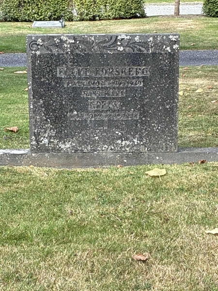 Grave number: 33 6   223-224