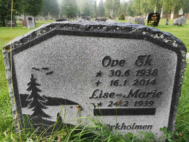 Hautatunnus: NK 20    43-44