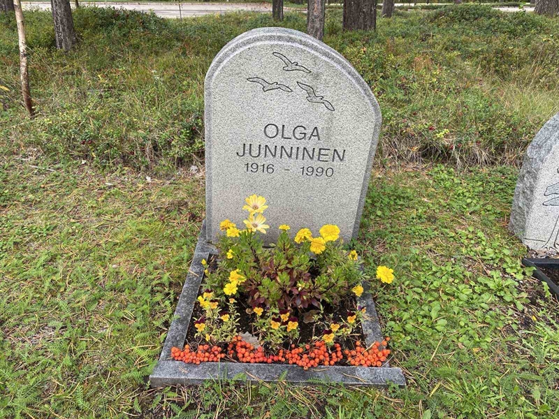 Grave number: 3 16   206