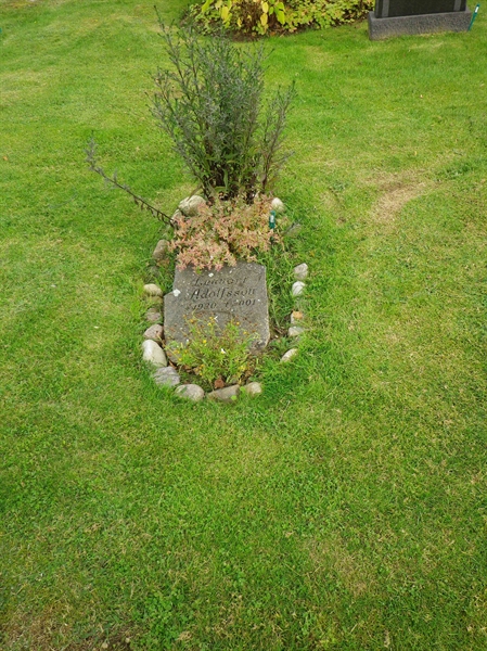 Gravnummer: VI K   273