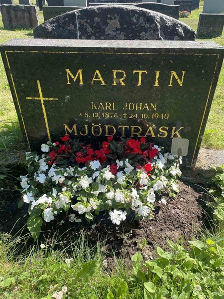 Hautatunnus: N 5 2   268