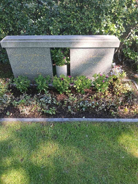 Hautatunnus: 2   35, 36, 37, 38