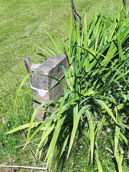 Gravnummer: GK A 5   149V