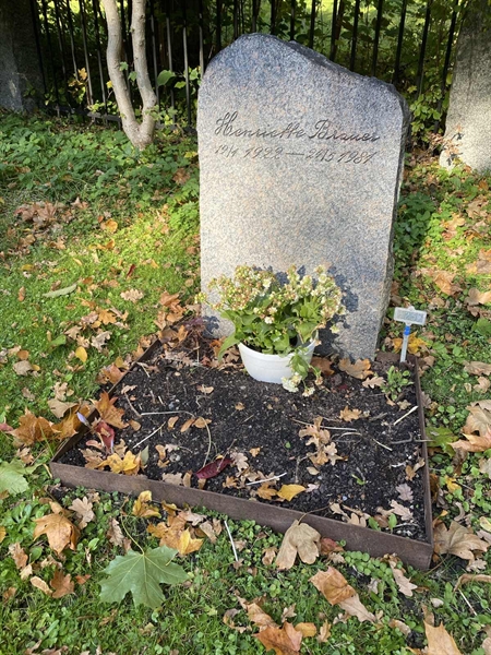 Gravnummer: 1 H   257