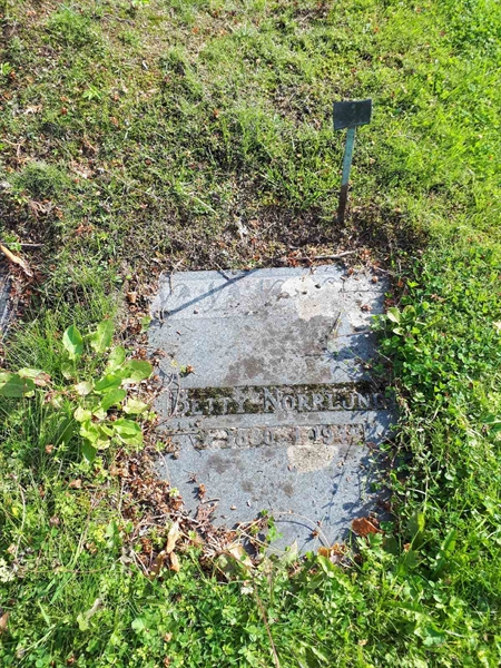 Gravnummer: NK A A   244