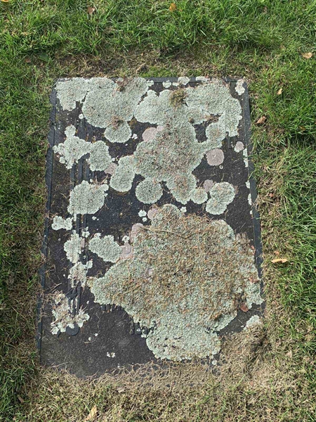 Grave number: VK B    76, 77