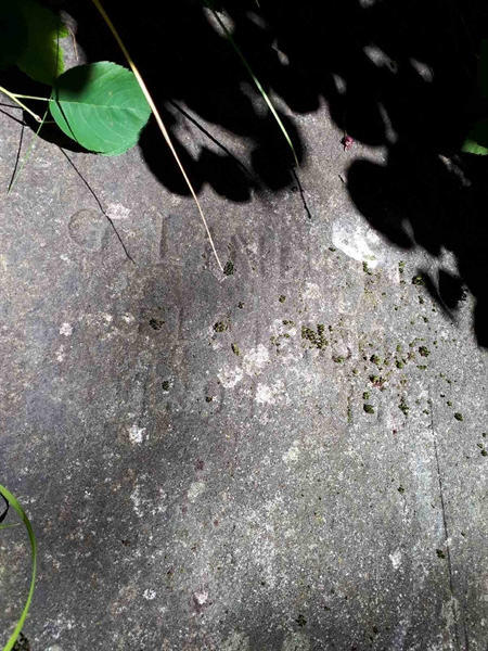 Hautatunnus: GK A 5   129H