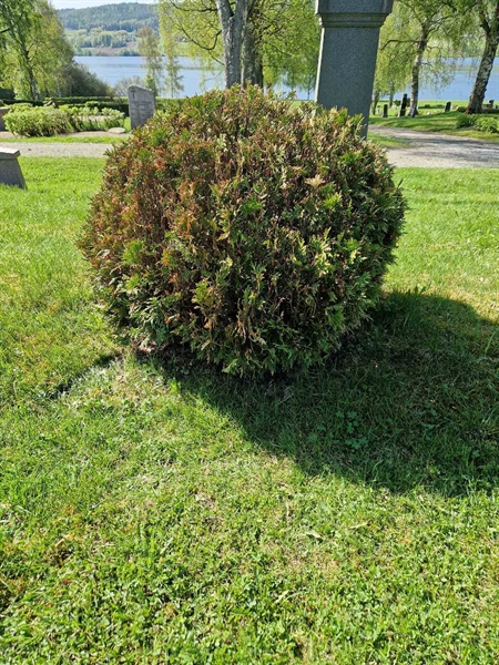 Grave number: 501 25 4566-4568