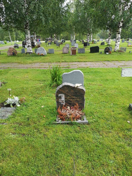 Hautatunnus: NK 17    88