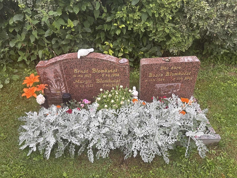 Grave number: 002 2   596
