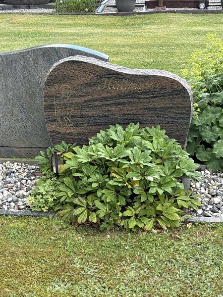 Grave number: SKF G    77, 78, 79