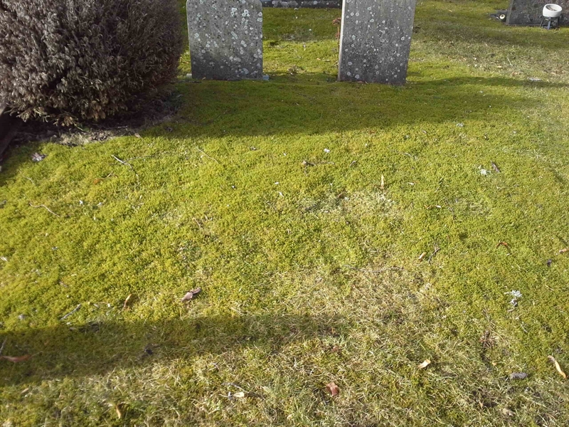 Grave number: HG MÅSEN   605, 606