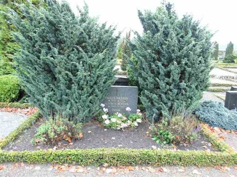 Hautatunnus: VK 1 503-504