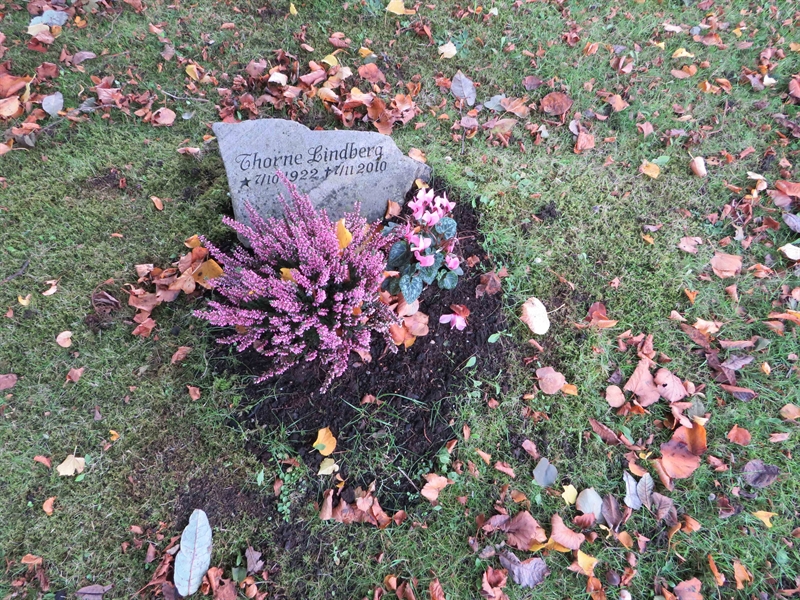 Grave number: 1 11  196
