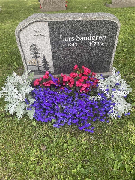 Grave number: H 8    50-51