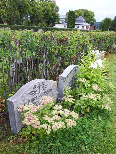 Gravnummer: NK F A   201