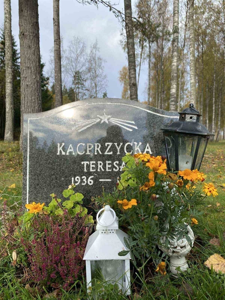 Hautatunnus: 1 22    175