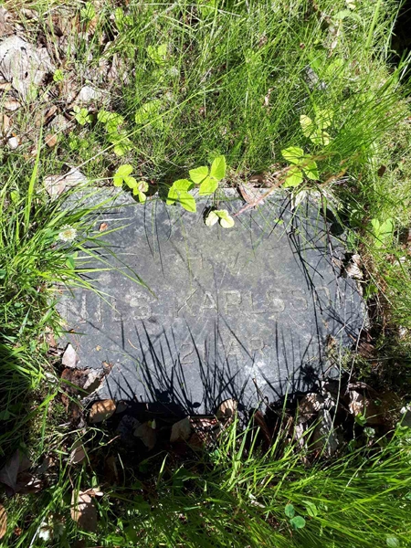 Hautatunnus: GK A 5   136H