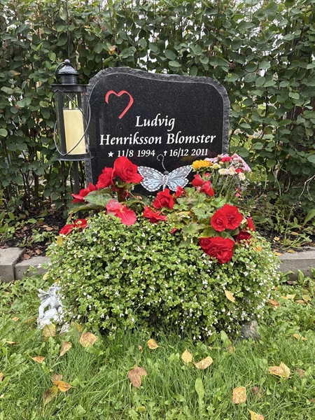 Grave number: 3  2444
