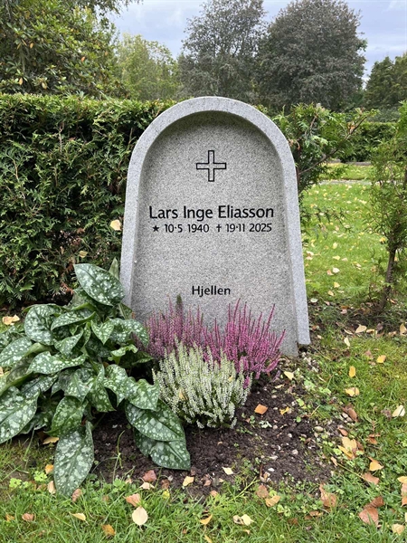 Grave number: 6 3   119