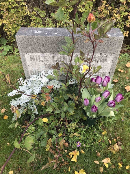 Grave number: ÅR U1    11