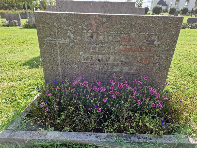 Grave number: 1 17    47
