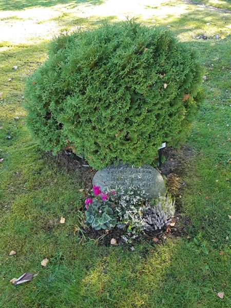 Gravnummer: Fr 7   623