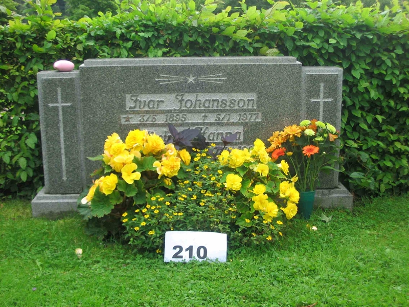Gravnummer: FK 02    210