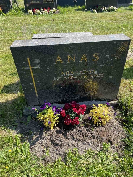 Grave number: N 5 1   105a