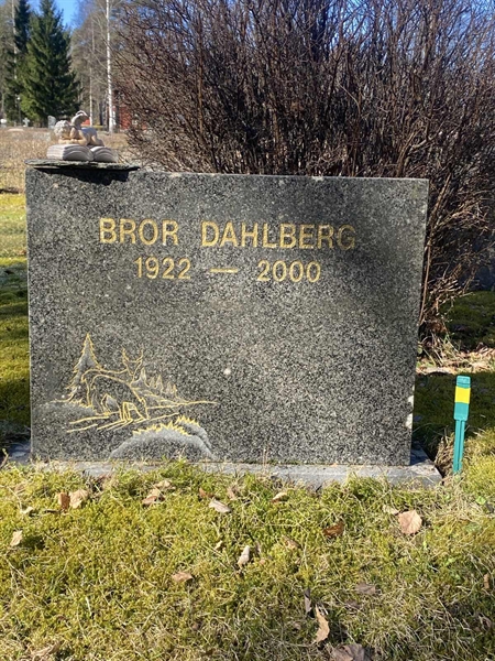 Hautatunnus: 1 06     66