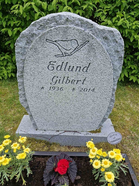 Hautatunnus: TK N ÖVRE 327