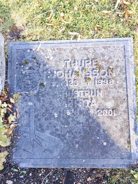 Gravnummer: GK F 3   193