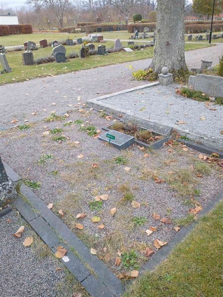 Grave number: VK D    74, 75, 76, 77