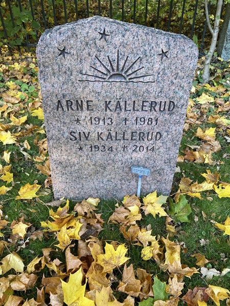 Hautatunnus: 1 H   406