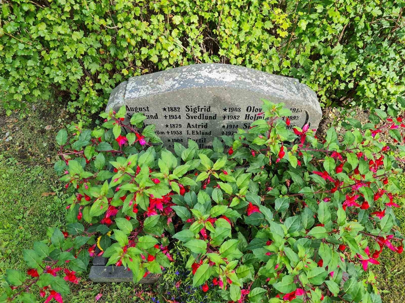 Grave number: Ö III I   19