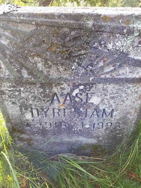 Gravnummer: NK F D    31