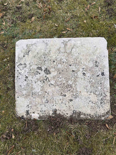 Gravnummer: LE   399