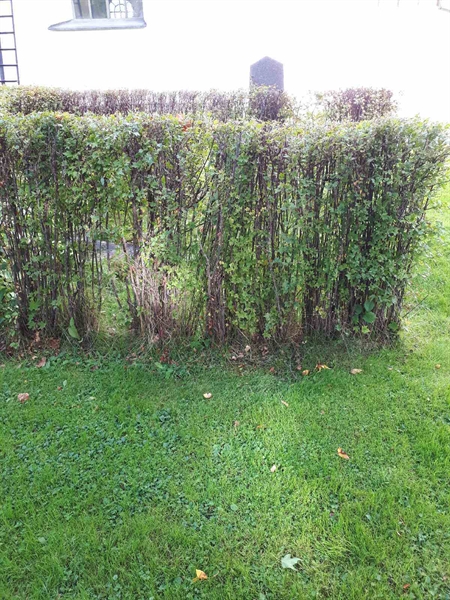 Hautatunnus: GK F 1    41