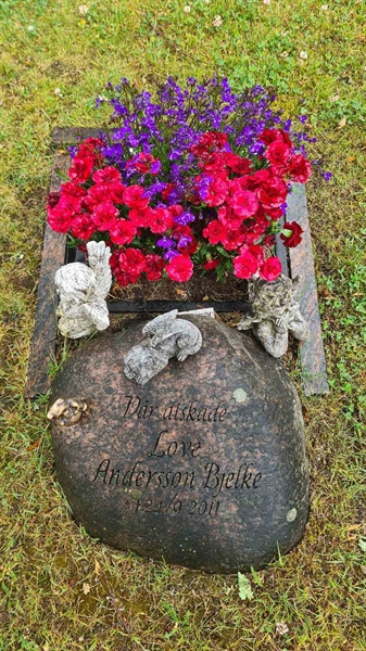 Hautatunnus: M N 14 25A