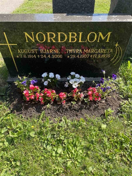 Hautatunnus: N 5 2   224