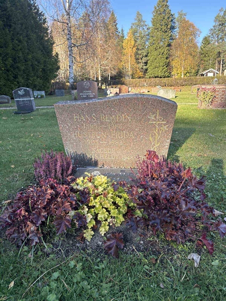 Hautatunnus: R 4   271-272