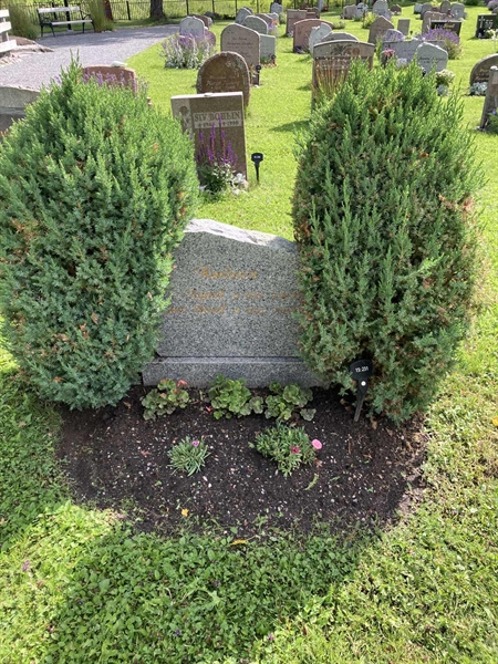 Grave number: 1 15   231