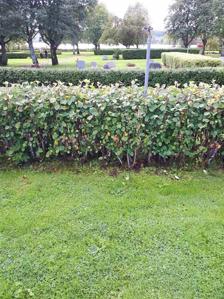 Gravnummer: NK F B    77