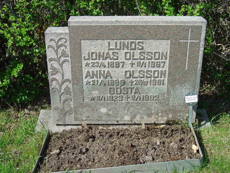 Grave number: A O  559