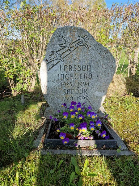 Grave number: 501 13 1894