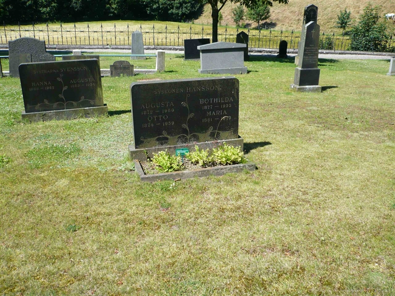 Grave number: 1 2    43