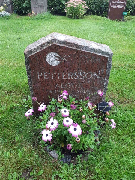 Hautatunnus: NK F D   219