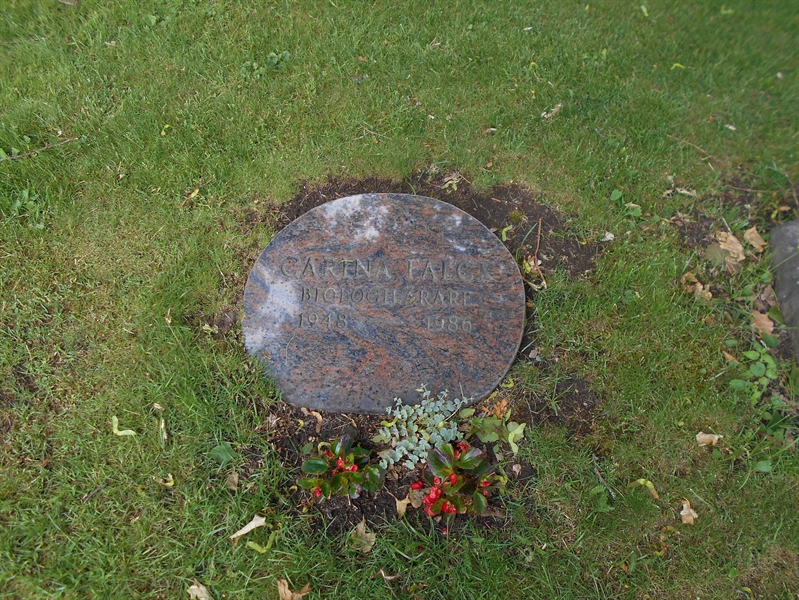 Grave number: TK D   132T