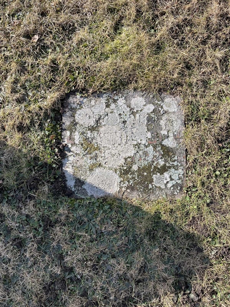 Hautatunnus: HA N    79