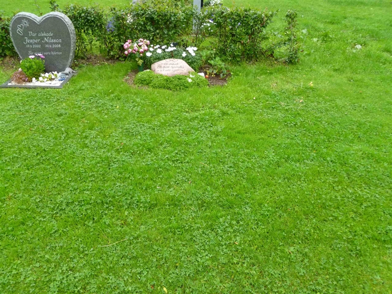 Grave number: ROG H  376, 377